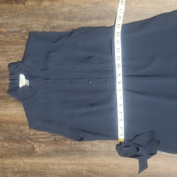 Ann Taylor LOFT Silk Chiffon Sleeveless Dress with Ruffle Collar Dress Size 2P - Picture 5 of 7